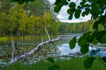 ヌークシオ国立公園