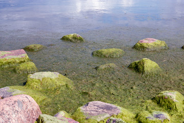 Green stones on the coast