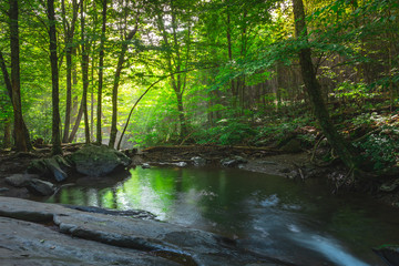Light rays beam through trees in Shenandoah National Park, VA as a small stream builds up in the foreground.