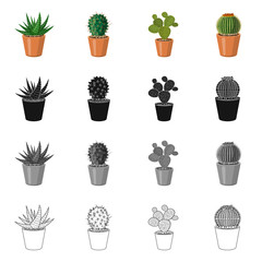 Isolated object of cactus and pot icon. Set of cactus and cacti vector icon for stock.