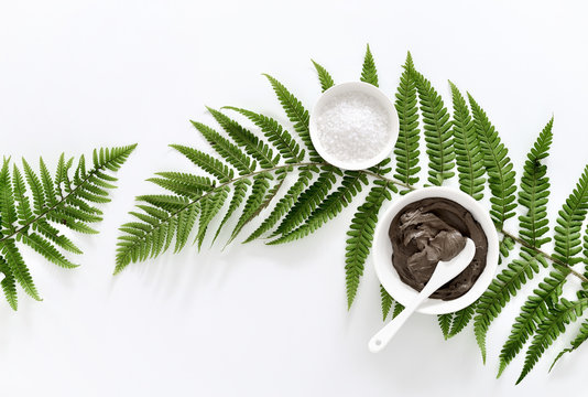 Spa background with Dead sea mud and fern leaves