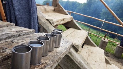 Shot glasses filled and ready to be drinked