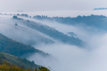 Mountain slopes covered with thick fog early morning, Ukraine