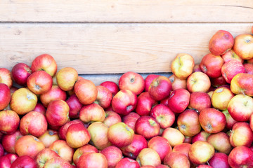 red ripe fall apples in wooden boxes at street market