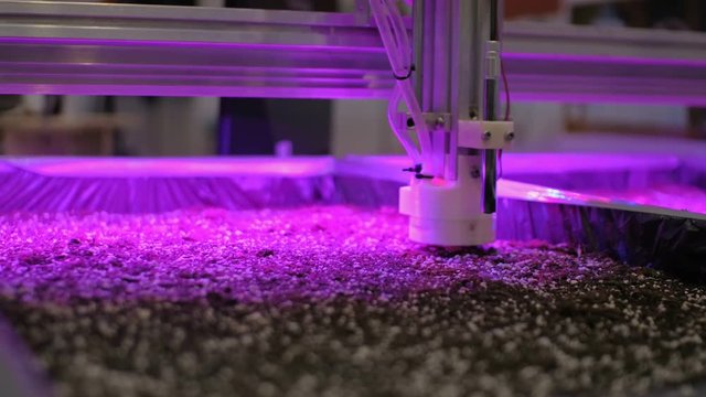 Automatic agricultural robotic device making soil dimples for sowing.