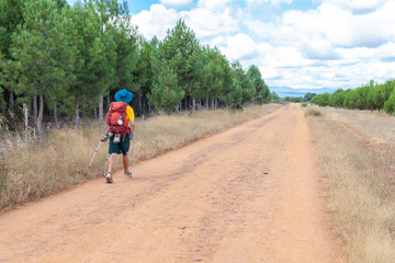 Obraz premium Camino de Santiago Spain