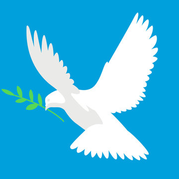bird dove   vector illustration flat style profile 