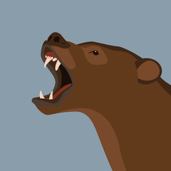 bear  head   vector illustration flat style profile 