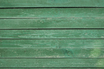 Green Old Wooden Texture Background. Bright Wood Structure