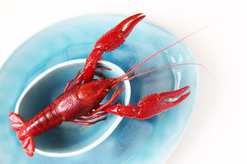 Crawfish on a plate