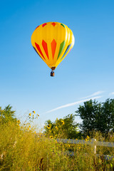 Hot air balloon takes off from field surrounded by trees and flowers.
