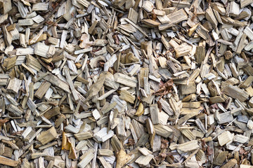 Wood chip. Recycled wood. Eco-friendly processing. Utilization of wood.