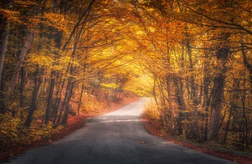  Amazing autumn forest with road in fog. Trees with red and orange foliage in fall. Dreamy landscape with foggy trees, mountain road, colorful leaves. Travel. Nature seasonal background. Magical forest © den-belitsky