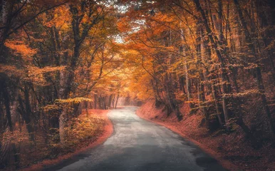  Amazing autumn forest with road in fog. Trees with red and orange foliage in fall. Dreamy landscape with foggy trees, mountain road, colorful leaves. Travel. Nature seasonal background. Magical forest © den-belitsky