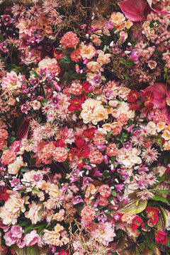 Background  with a lot of different beautiful flowers