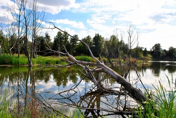 Nad wodą