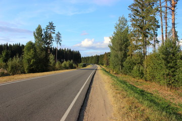 Asphalt road goes away in the perspective among the green trees on the roadsides and clear blue sky in summer day – travel, tourism, country landscape