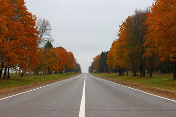 Obraz premium Empty rural country asphalt road in perspective - autumn highway in october gray day