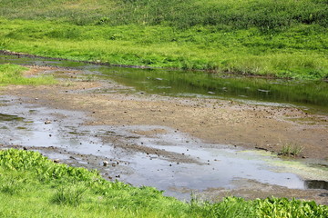 Drying up bed of the plain river in the summer against the green banks