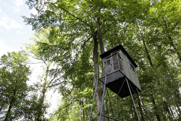hochstand