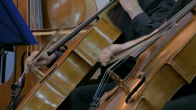 Symphony concert - unrecognizable woman and man playing cello - close up shot. Music and culture concept
