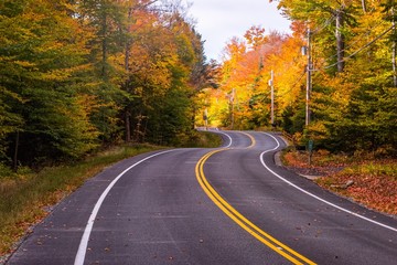 A windy road surrounded by fall color in New England - 221754437