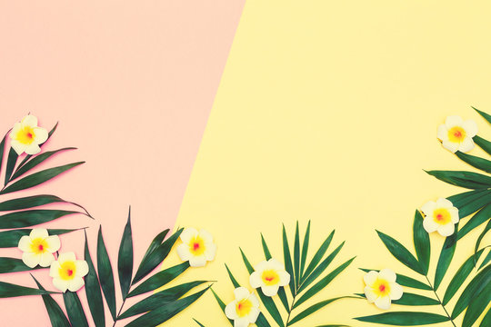 Fototapeta Tropical composition background