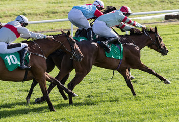 galloping race horses and jockeys competing on the race track