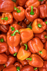 Ripe red paprika on sale at the market