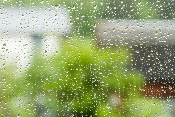 Raindrops on the window