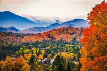 Peak Fall Colors in New England  - 221755833