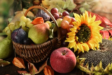 Foto auf Acrylglas Weidenkorb voller Herbstfrüchte © teressa
