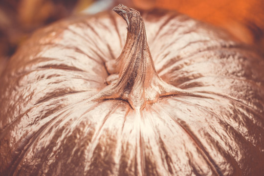 Golden pumpkin as decoration on the green and yellow leaves