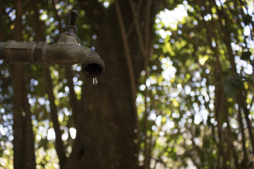 MEDIO AMBIENTE  LA ULTIMA GOTA DE AGUA