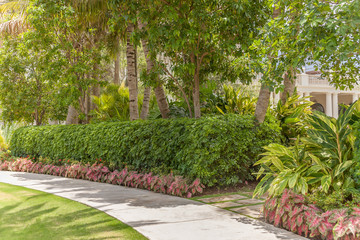 Manicured sidewalk detailed with grass, green shrubs, trees and warm pop of color.