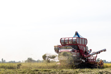 Low angle view Combine harvesters.