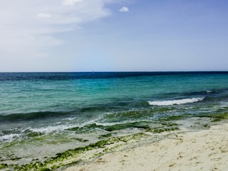 Ocean beach with white sand and green algae