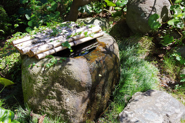 Fototapeta premium つくばい