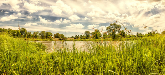 Urban Lagoon and Nature Preserve. Chicago, USA. Summer landscape. Panorama.