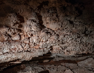 Crystals Grow on Wall of Wind Cave