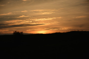 Fototapeta na wymiar sunset on the field