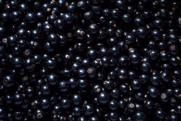 black ripe and sweet currant berries top view background.