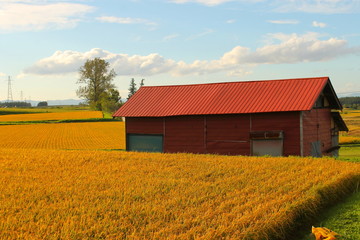 北海道の風景
