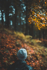 Herbstblätter in der Pfütze Regenzeit im Herbstwald spazieren