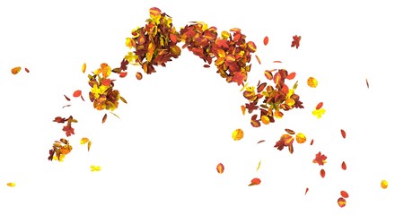 Autumn leaves isolated on white background 3D illustration