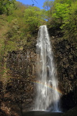 Fototapeta na wymiar 玉簾の滝と虹　Tamasudare waterfall and rainbow