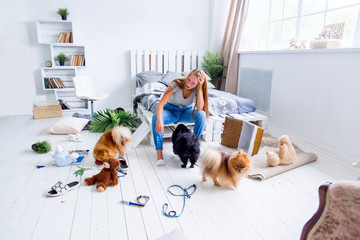 dogs in the middle of mess they created at home