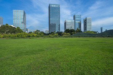 green lawn with city skyline background