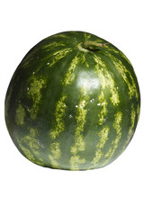 Large ripe watermelon