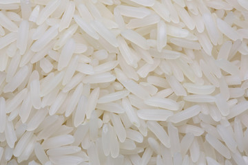white rice on white background